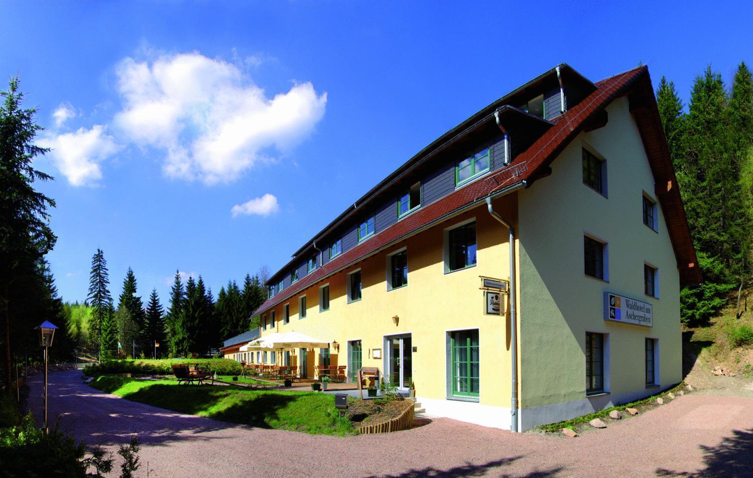Waldhotel Am Aschergraben Geising Екстериор снимка